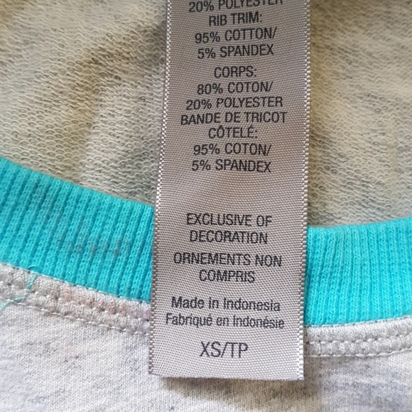 Champion Crop Sweater Raglan Gray and Light Blue - Picture 3 of 3